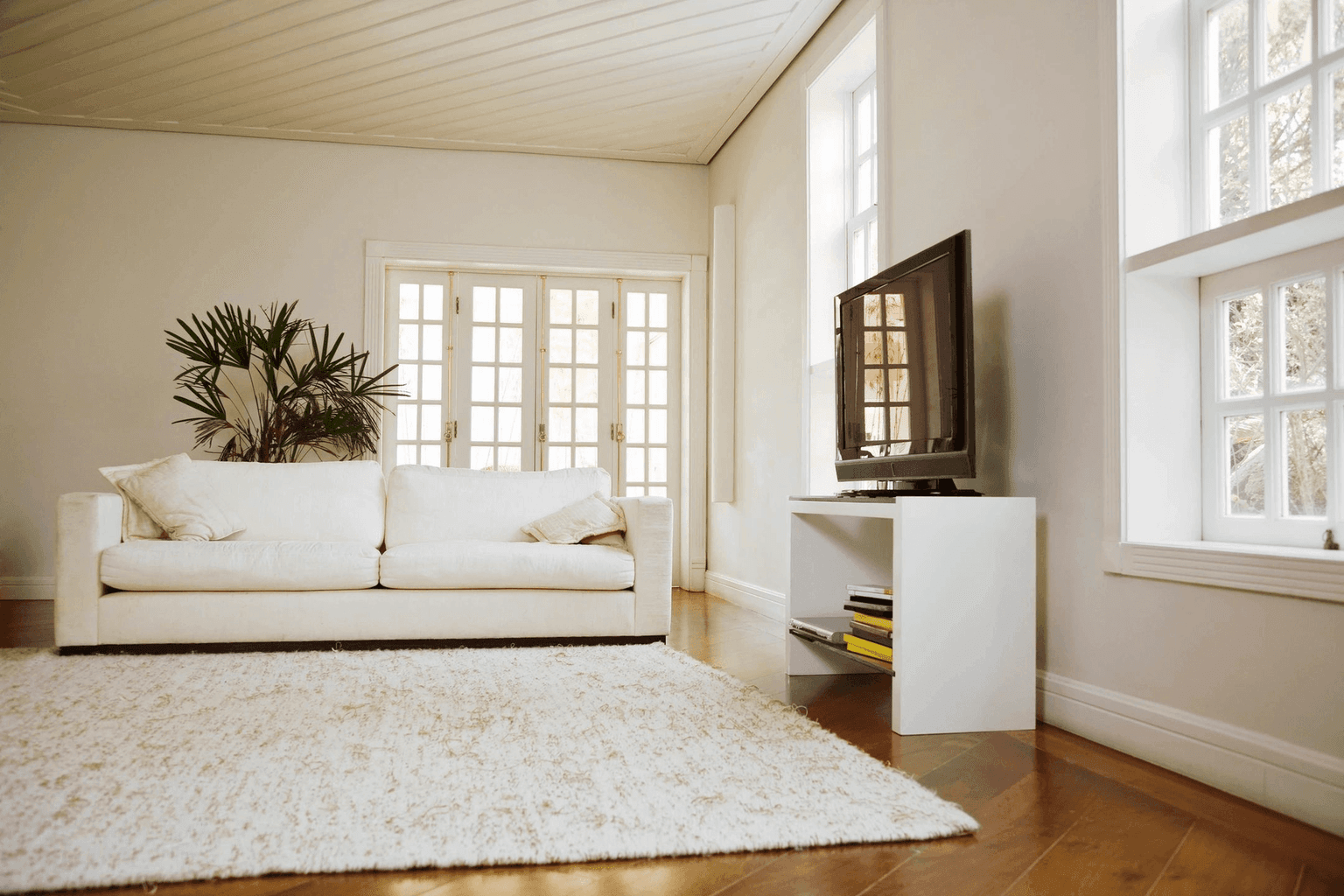 Carpet cleaning in College Grove, TN