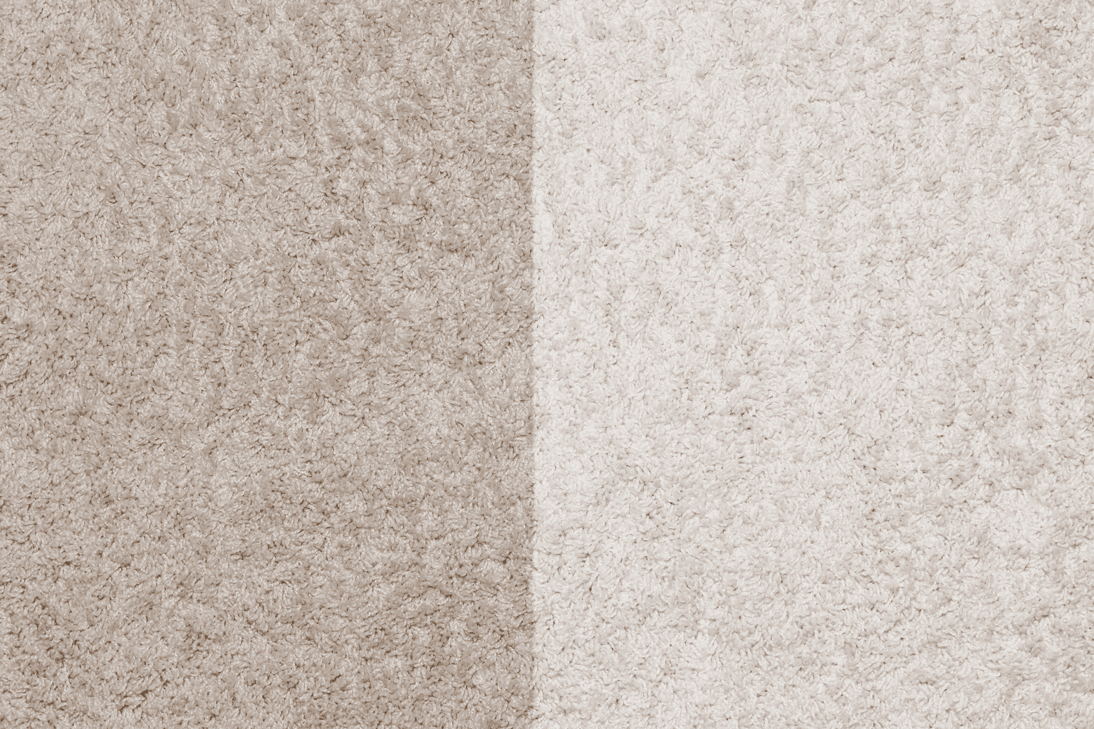 Carpet cleaning in Lascassas, TN