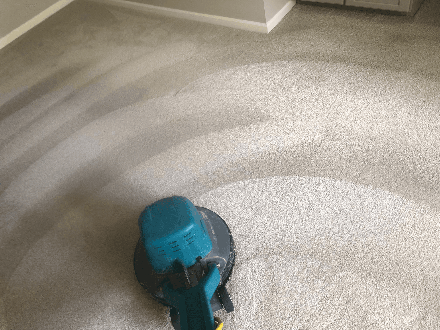Carpet cleaning in Shelbyville, TN