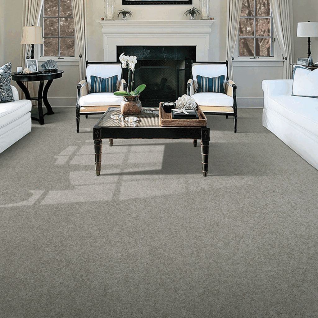 6 modern home with clean carpet