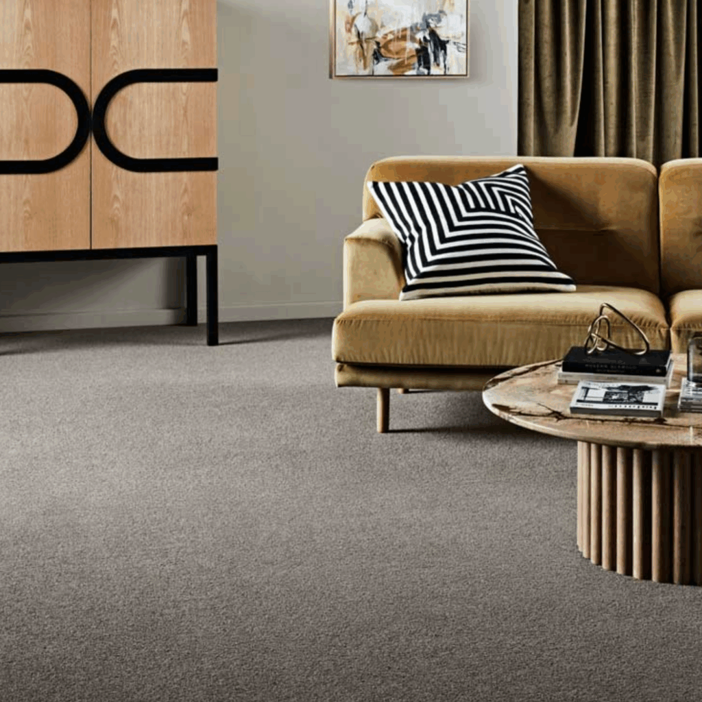 modern home with clean carpet