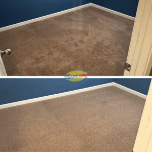 Before and after carpet cleaning