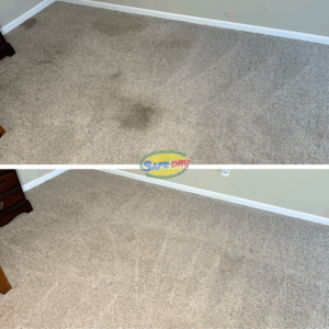 Before and after carpet cleaning
