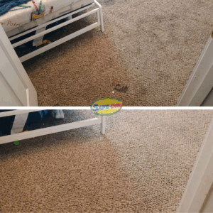 Before and after carpet cleaning