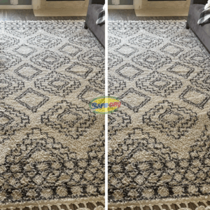 Before and area rug cleaning
