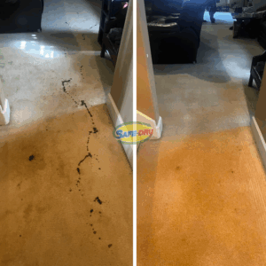 Before and after stain removal