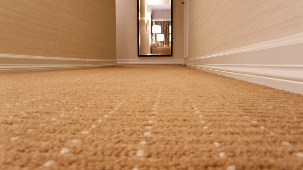 Safe-Dry Carpet Cleaning