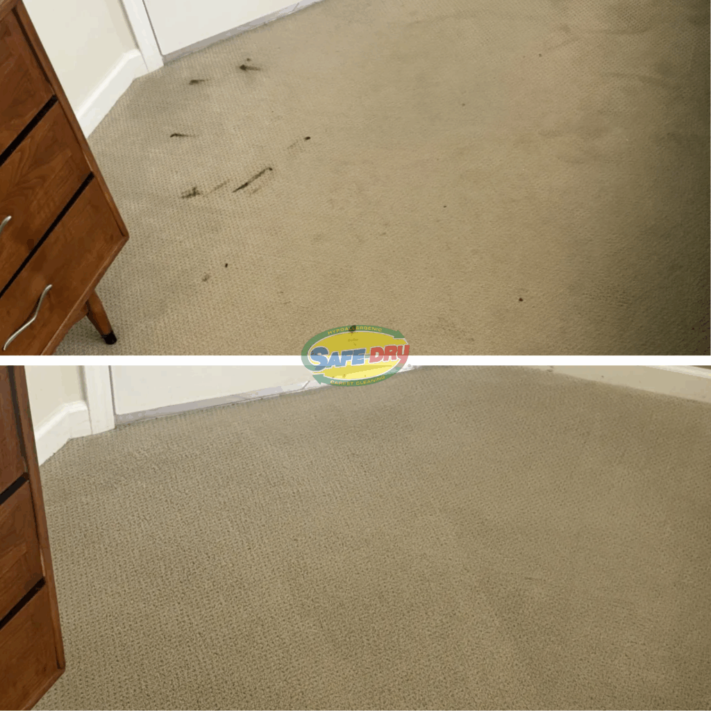 before and after carpet cleaning 